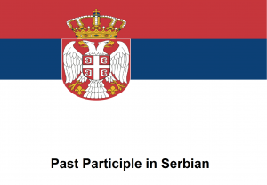 Past Participle in Serbian
