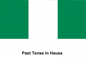 Past Tense in Hausa.png